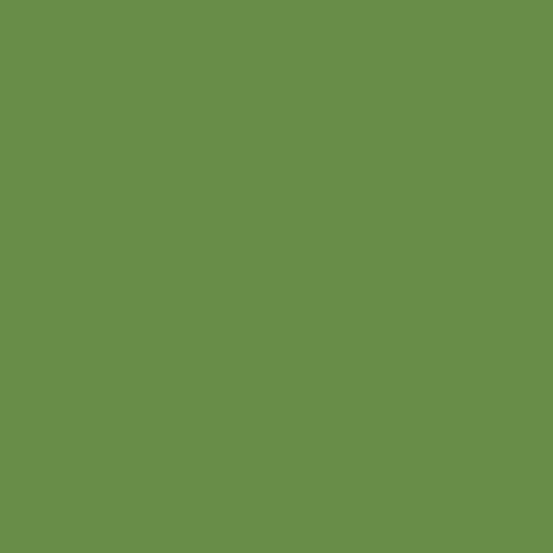 Farba plakatowa Tempera Premium Happy Color 1000ml - 56 Zielona oliwka