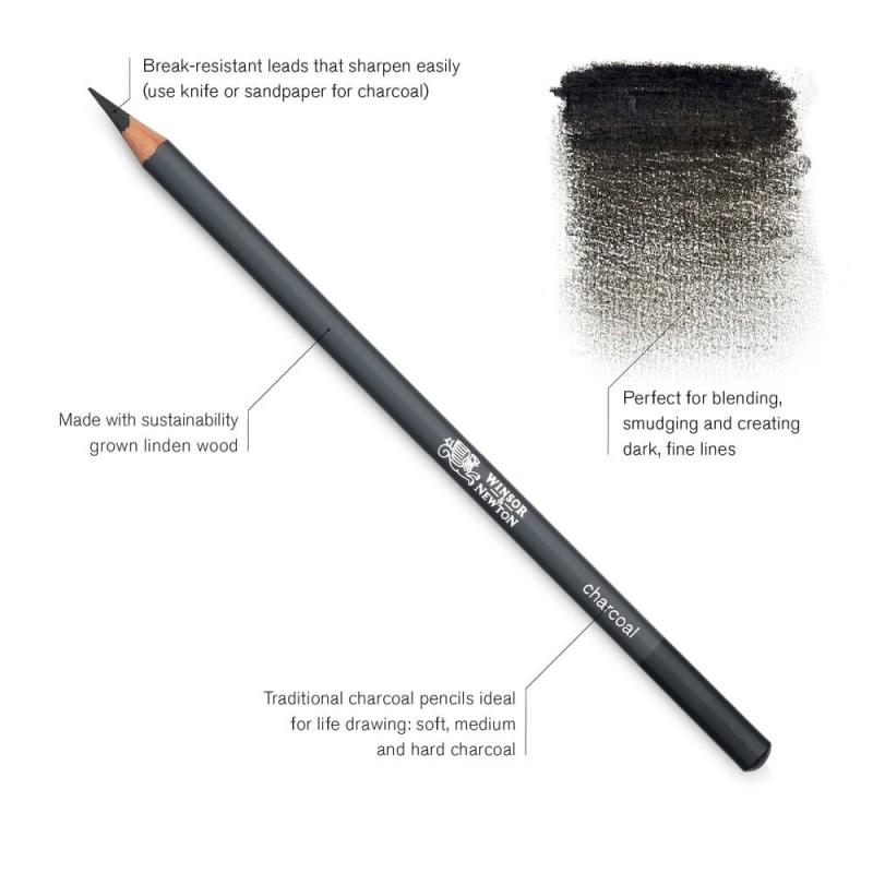 Węgiel w ołówku Winsor &amp; Newton Studio Collection - 6 szt.