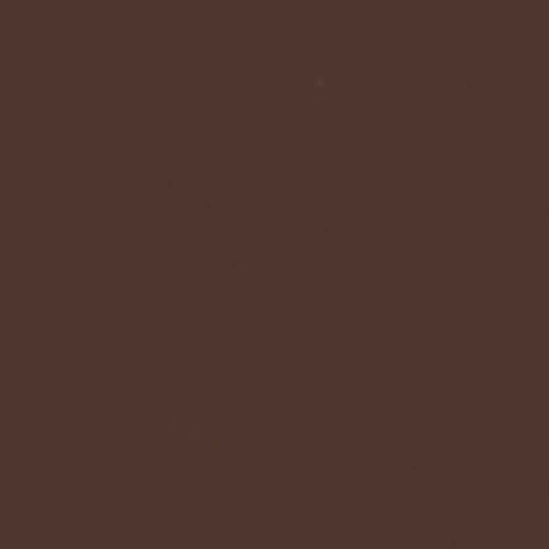Farba tempera Aero 42ml - 501 Raw Umber