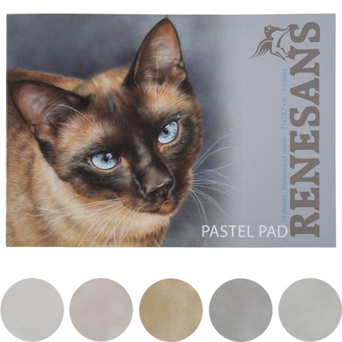 Blok do pasteli zamszowy Renesans - A4, 10 ark., 5 kol.