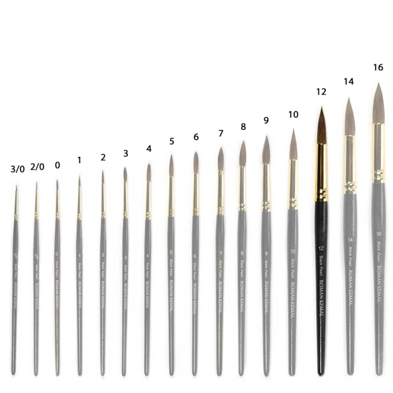 black pearl - 12 grupowe.jpg