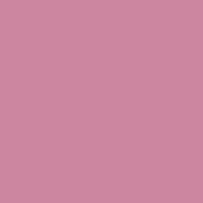 Marker Promarker Winsor & Newton - R327 Dusky rose