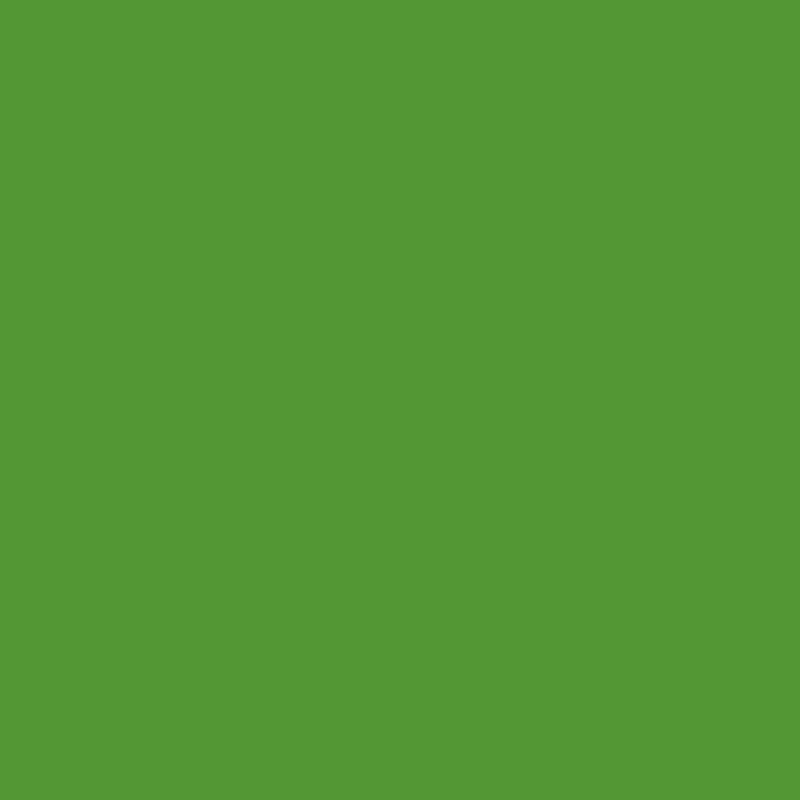 Marker Promarker Winsor & Newton - G356 Forest Green