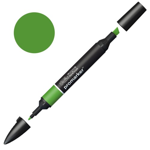 Marker Promarker Winsor & Newton - G356 Forest green