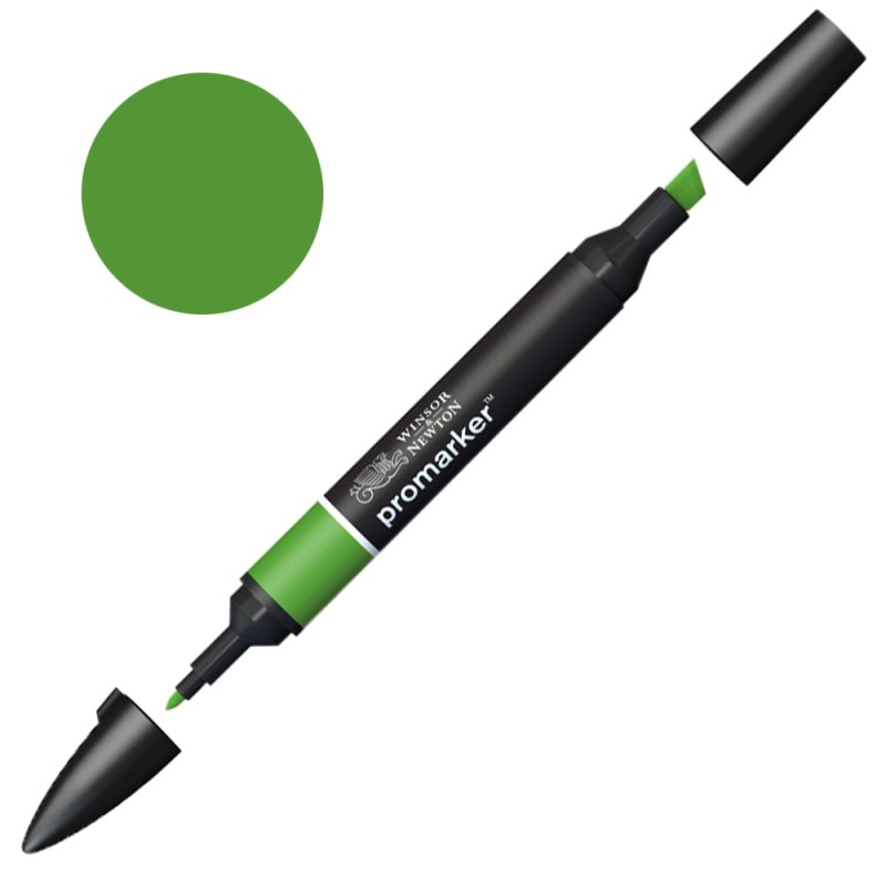 Marker Promarker Winsor & Newton - G356 Forest Green
