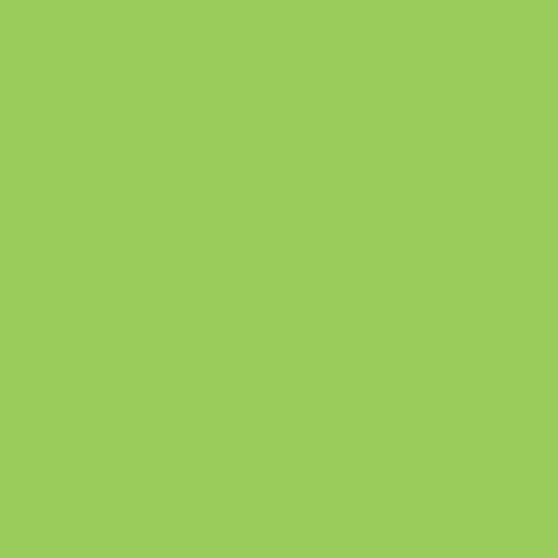 Marker Promarker Winsor & Newton - G258 Leaf green