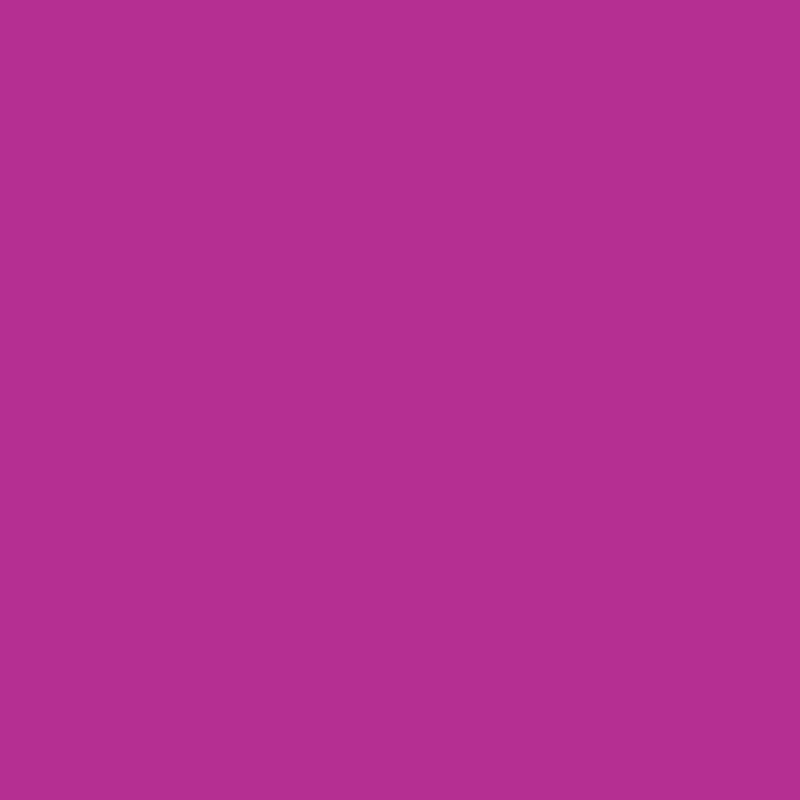 Marker Promarker Winsor & Newton - V865 Mulberry
