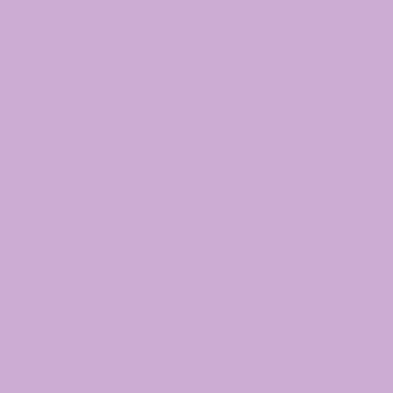 Marker Promarker Winsor & Newton - V528 Orchid