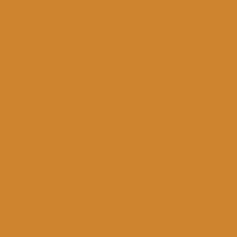 Marker Promarker Winsor & Newton - O646 Raw sienna