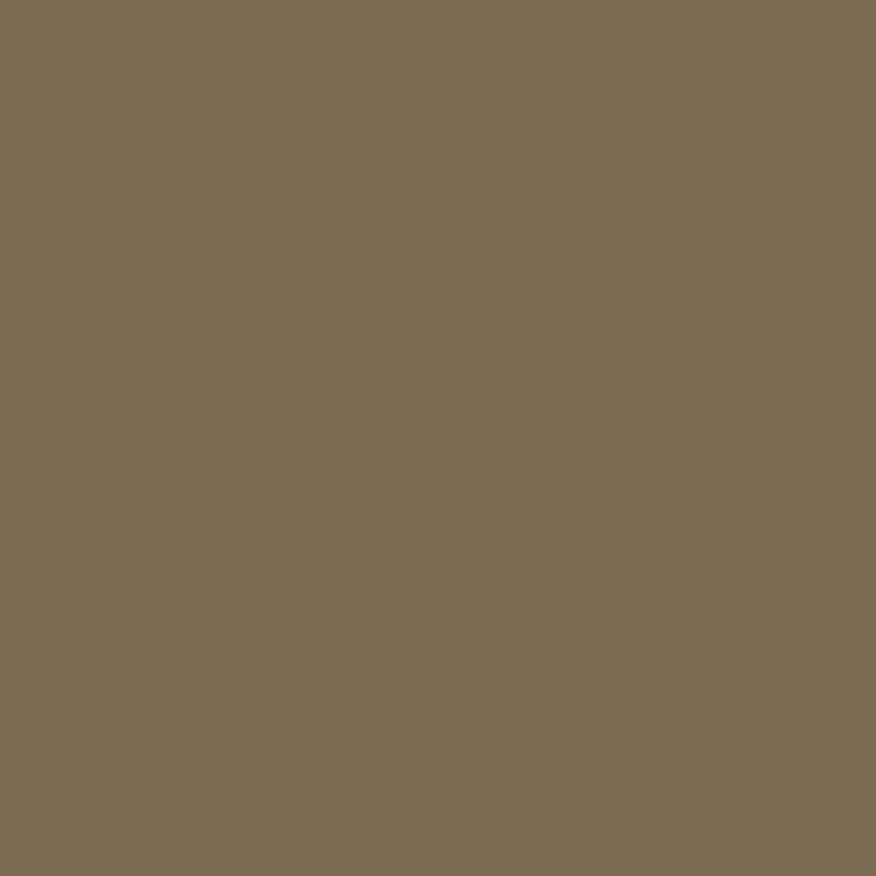 Marker Promarker Winsor & Newton - WG5 Warm grey 5