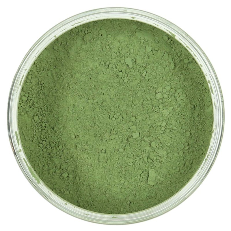 Pigment Ziemia zielona z Vagone 75g 41750 Szmal
