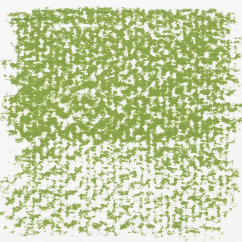 Pastela sucha Rembrandt Talens - 620,5 Olive green