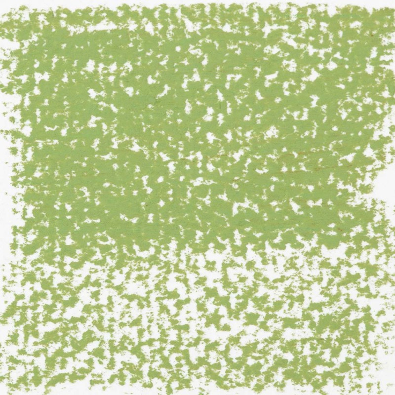 Pastela sucha Rembrandt Talens - 620,8 Olive green