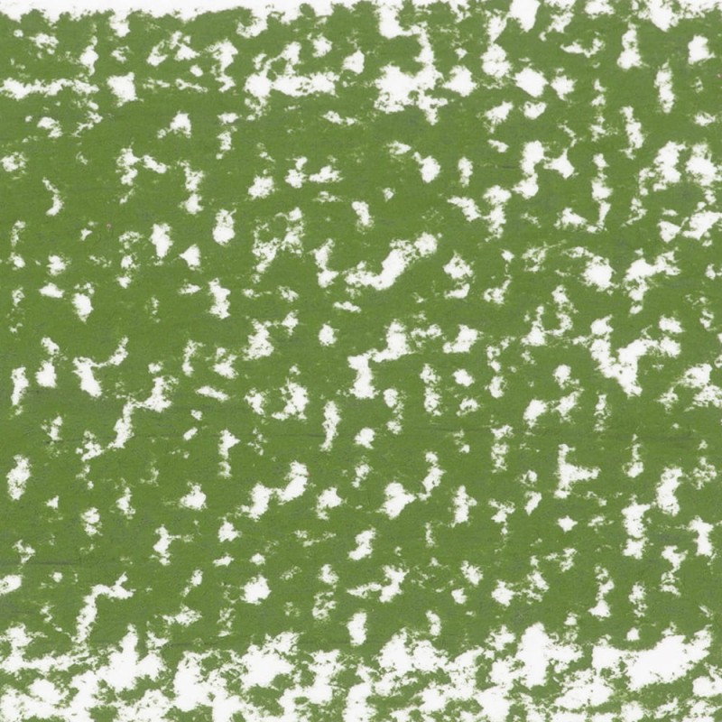 Pastela sucha TOISON D'OR Koh-i-noor seria 8500 - 147 Light moss green