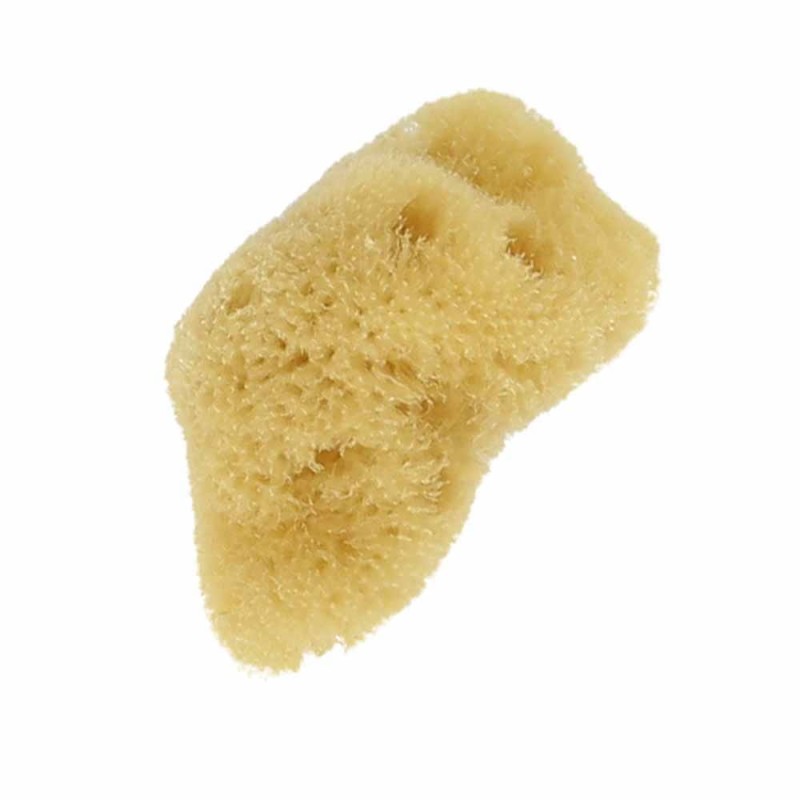 gąbeczka naturalna 1.jpg