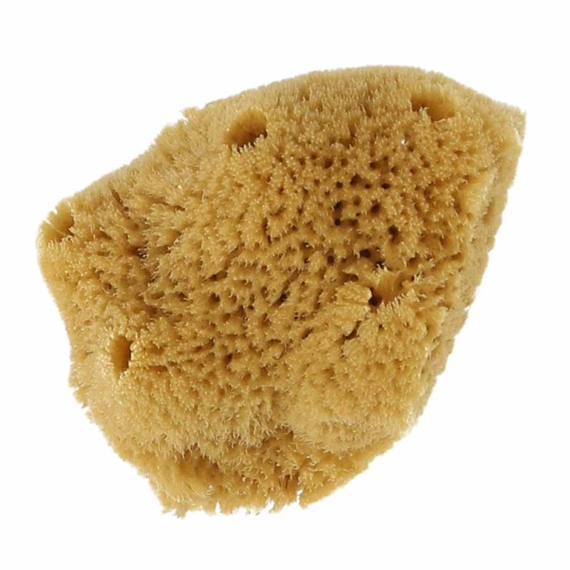 gąbeczka naturalna 2.jpg