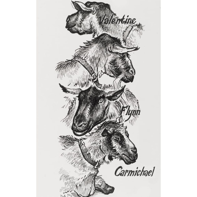 Cienkopisy artystyczne Pitt Artist Pen - black (XS, S, F, M)--.jpg