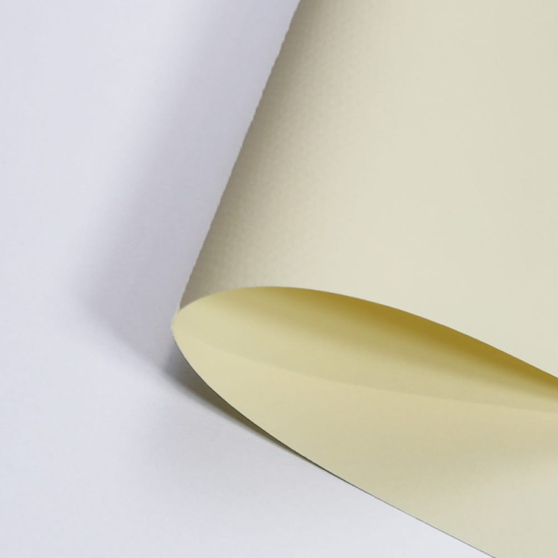 Papier Canson Mi-Teintes A4, 160 g, 25 ark. - 101 Pale Yellow