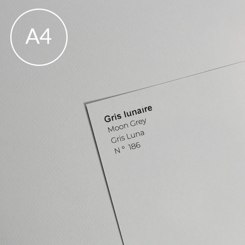 Papier Canson Mi-Teintes A4, 160 g, 25 ark. - 186 Moon grey