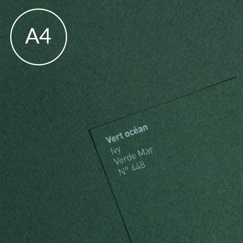 Papier Canson Mi-Teintes A4, 160 g, 25 ark. - 448 Ivy