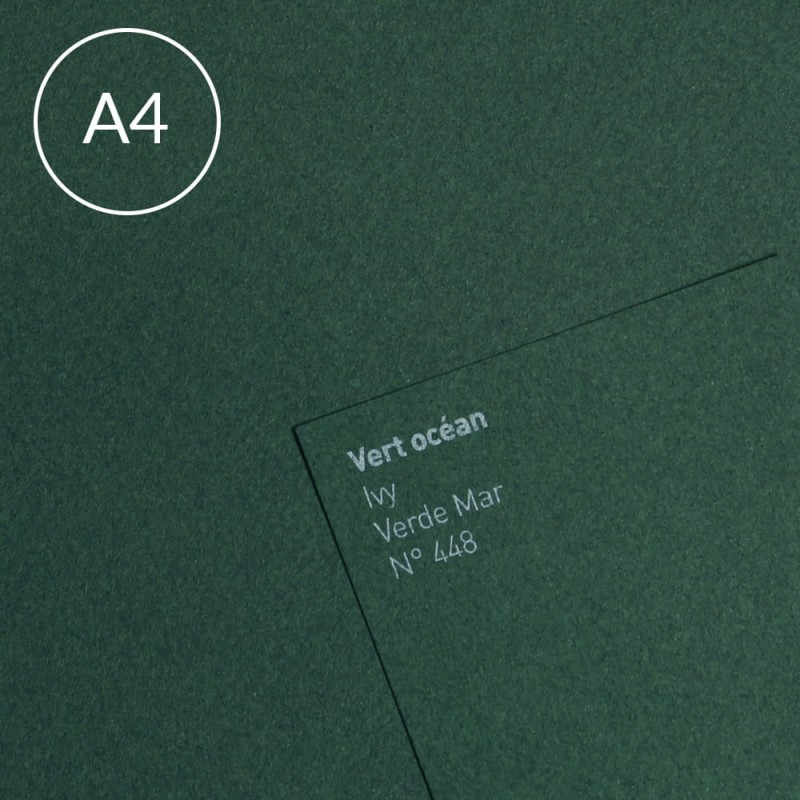 Papier Canson Mi-Teintes A4, 160 g, 25 ark. - 448 Ivy