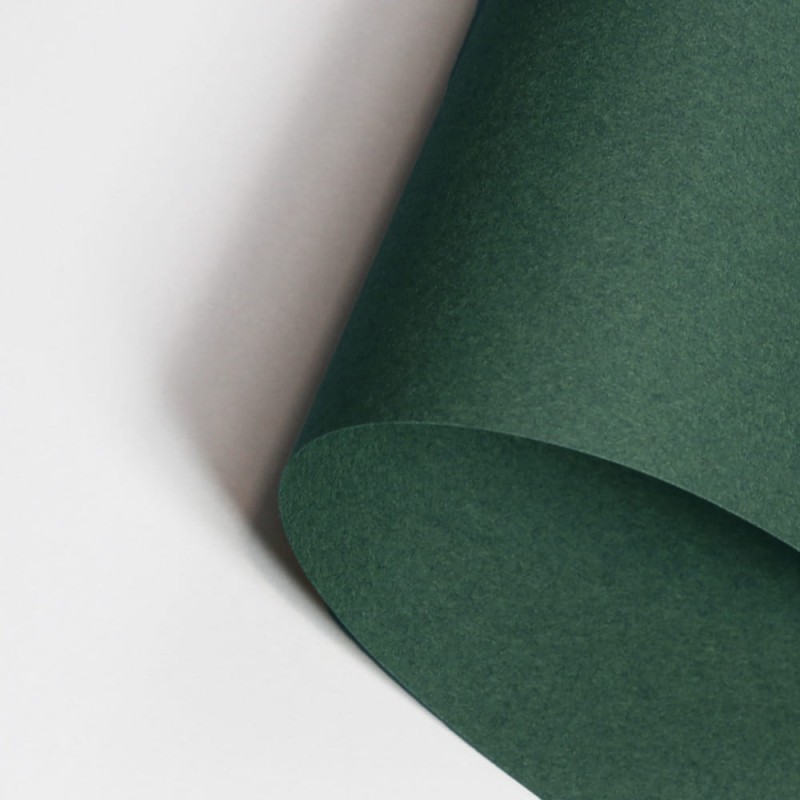 Papier Canson Mi-Teintes A4, 160 g, 25 ark. - 448 Ivy