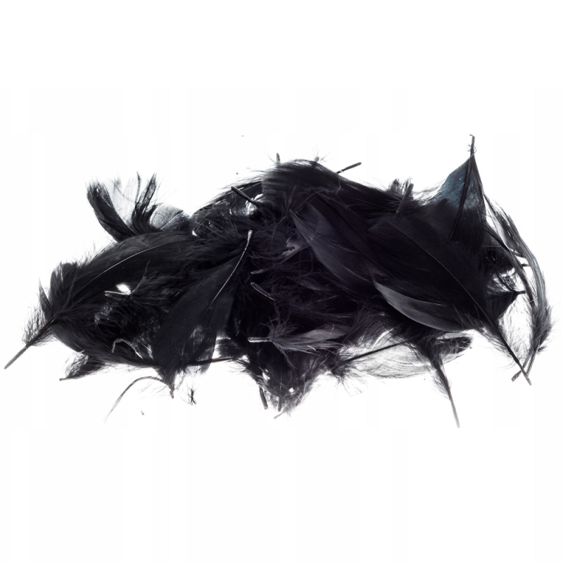 Piórka dekoracyjne Brewis 7g - czarne