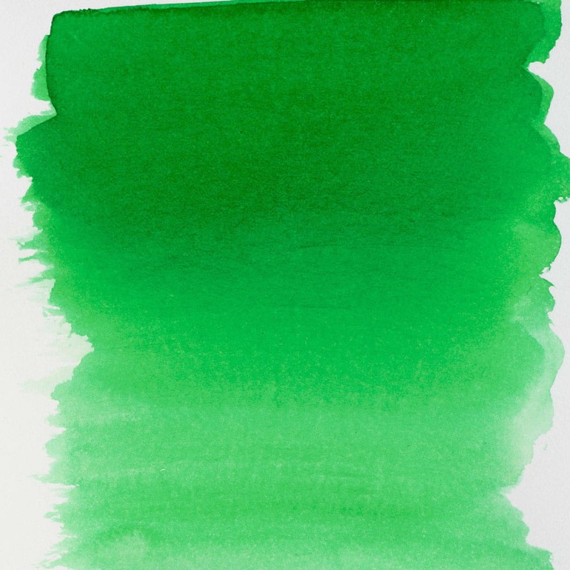 Farba akwarelowa Ecoline 30 ml - 656 Forest green