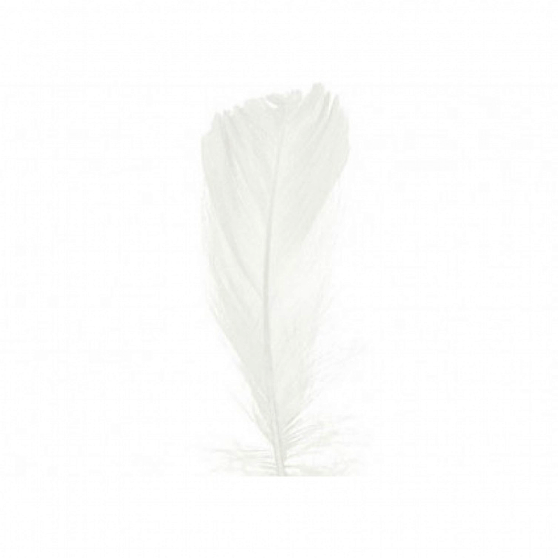 Piórka dekoracyjne 15 g - białe