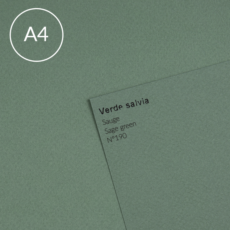 Papier Canson Mi-Teintes A4, 160 g, 25 ark. - 190 Sage green