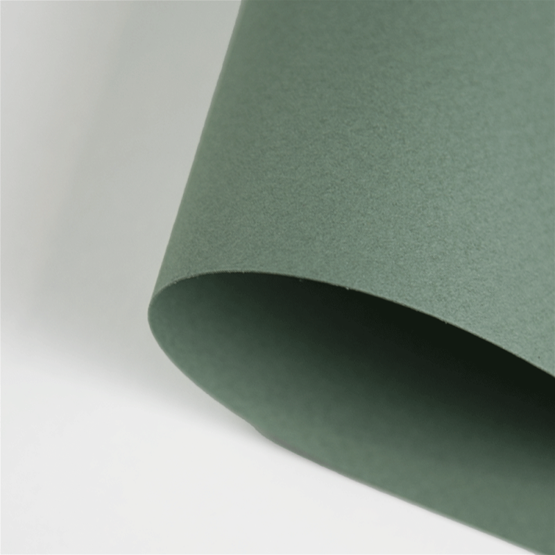 Papier Canson Mi-Teintes A4, 160 g, 25 ark. - 190 Sage green