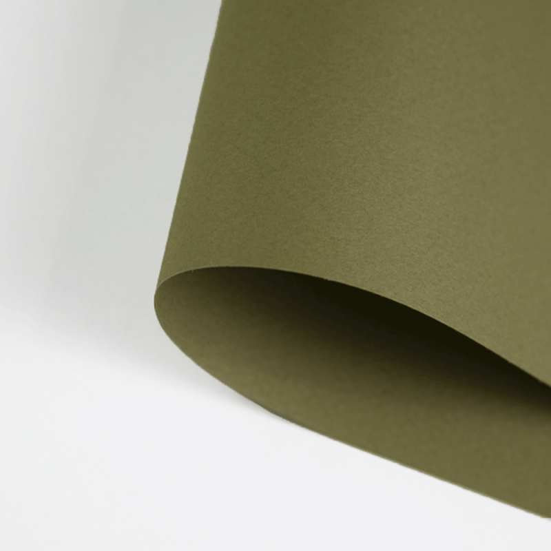 Papier Canson Mi-Teintes A4, 160 g, 25 ark. - 191 Olive green