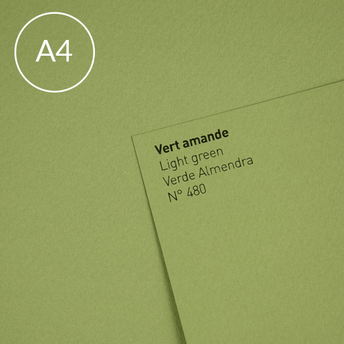 Papier Canson Mi-Teintes A4, 160 g, 25 ark. - 480 Light Green