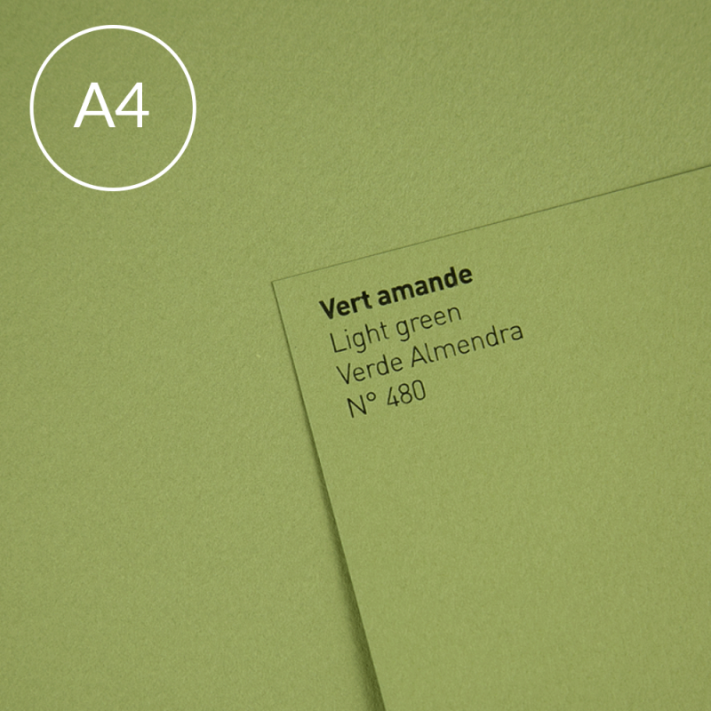 Papier Canson Mi-Teintes A4, 160 g, 25 ark. - 480 Light Green
