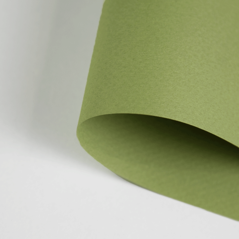 Papier Canson Mi-Teintes A4, 160 g, 25 ark. - 480 Light Green