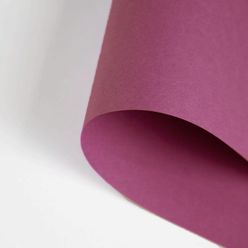 Papier Canson Mi-Teintes A4, 160 g, 25 ark. - 507 Violet