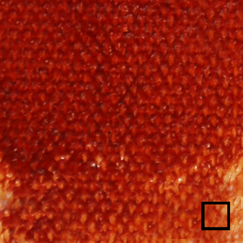 Tusz akrylowy Liquitex 30ml - 129 Transparent burnt sienna