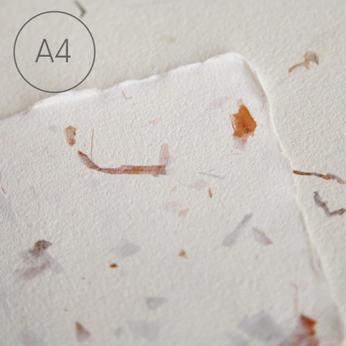 Papier czerpany gładki A4 - Cebula