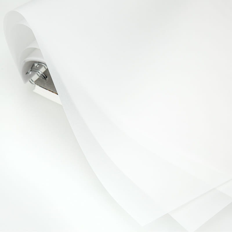 michelangelo (1).jpg