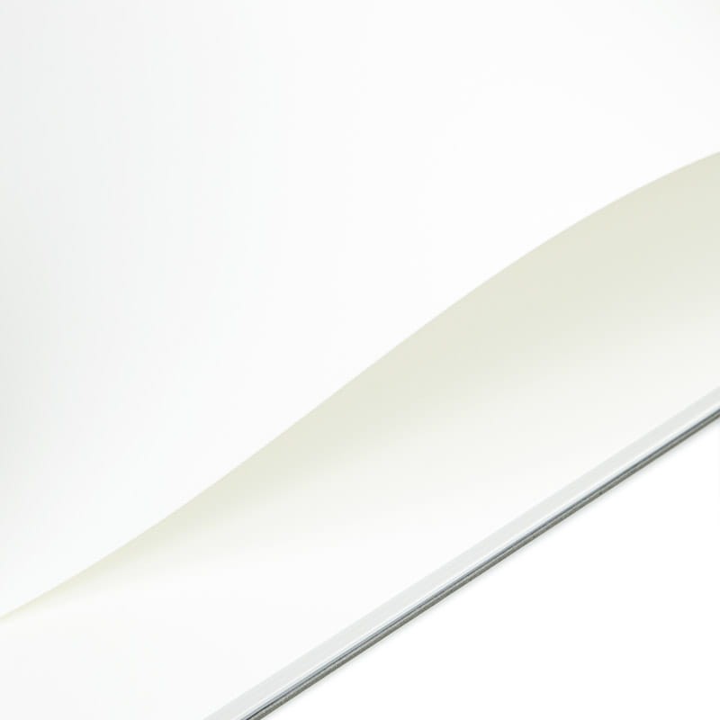 michelangelo (4).jpg