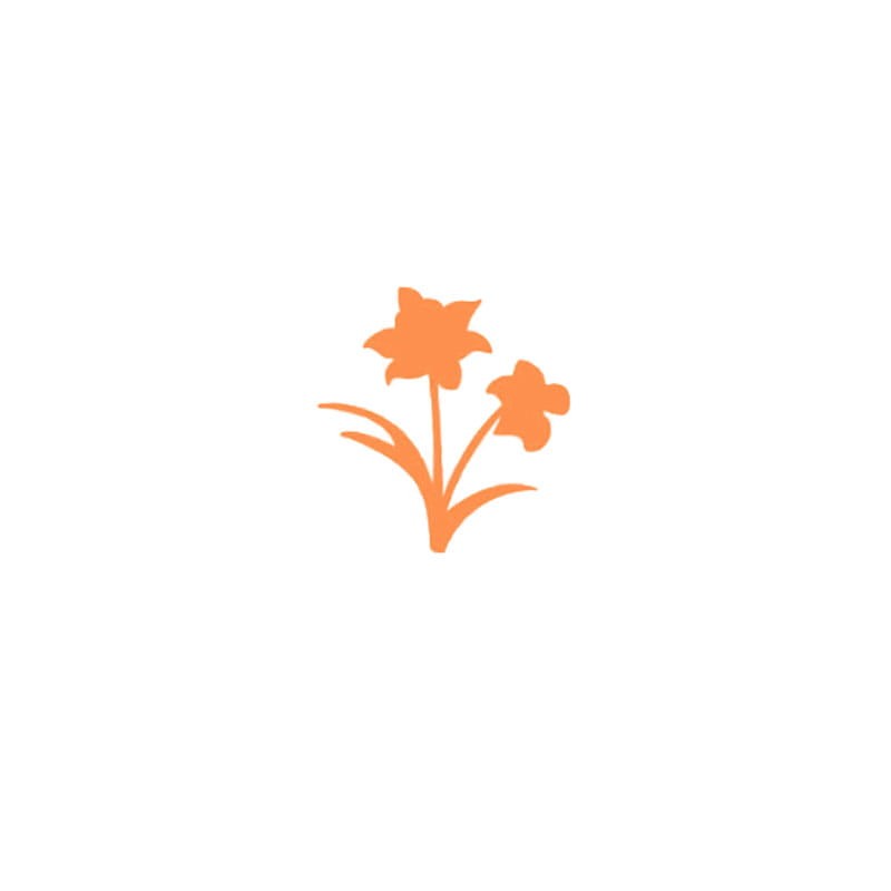 Dziurkacz ozdobny DP Craft 2,5 cm - żonkil