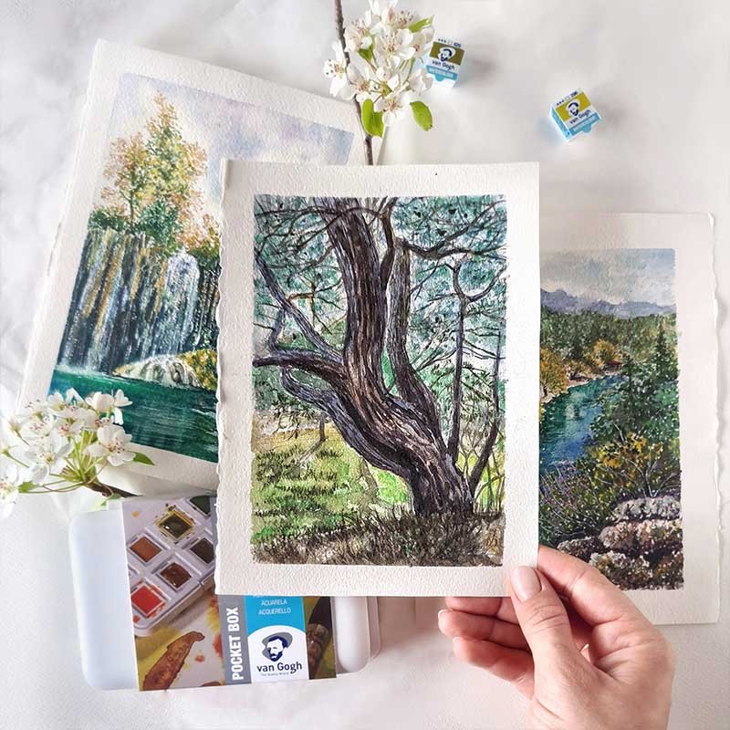 Farby akwarelowe Van Gogh zestaw Pocket Box 12 kostek Talens  - Shades Of Nature