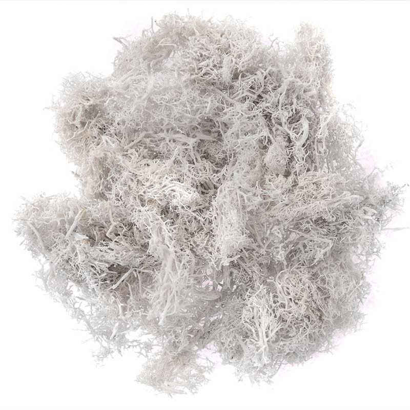 Mech-biały-30-g-DP-Ctaft-PZA-173-001