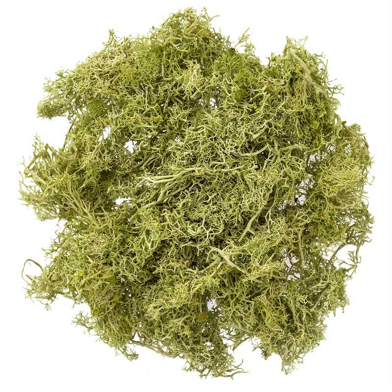 Mech-jasnozielony-30-g-DP-Ctaft-DPZA-150-001