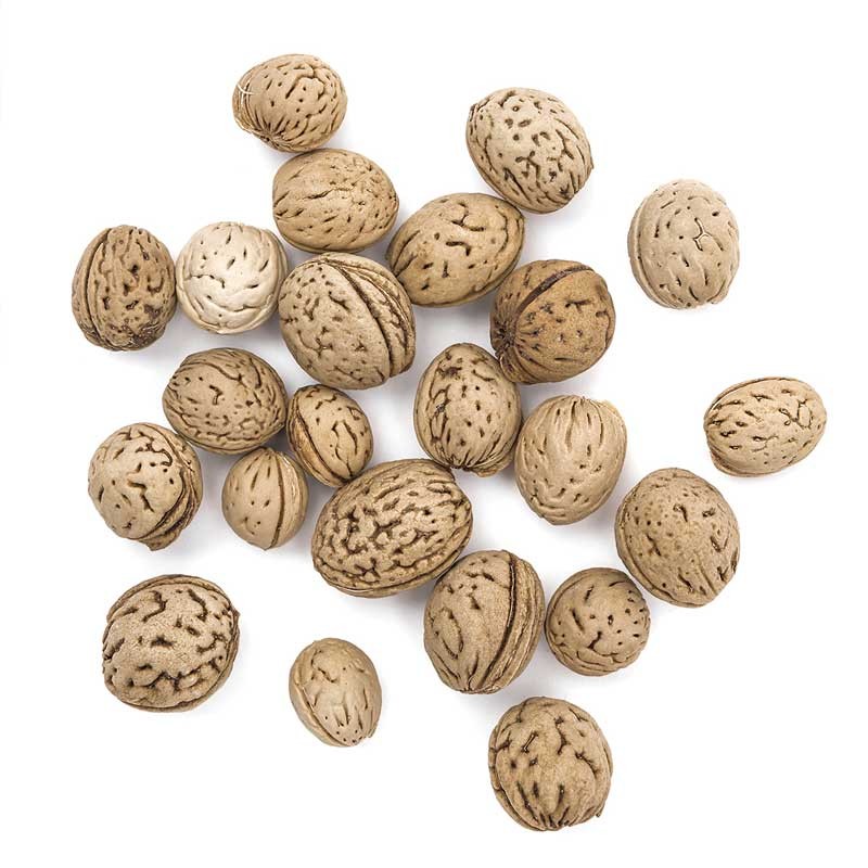 Suszone-orzechy-carya-40-g-DP-Ctaft-DPZA-149-001