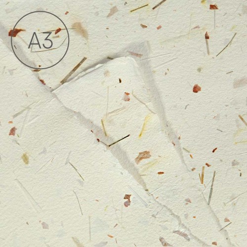 Papier czerpany gładki A3 - Cebula + trawa