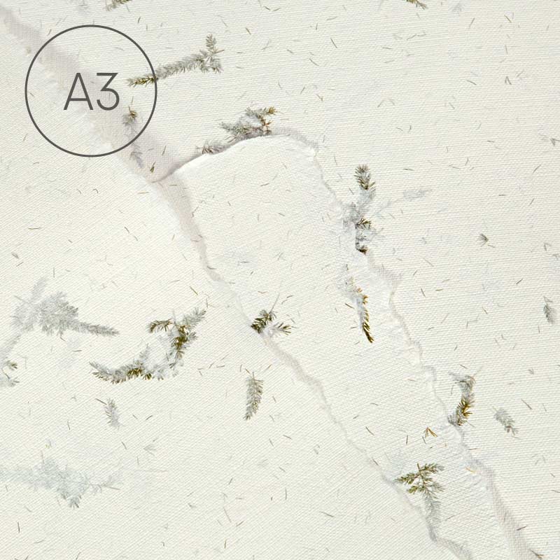 Papier czerpany faktura lnu A3 - Asparagus 02