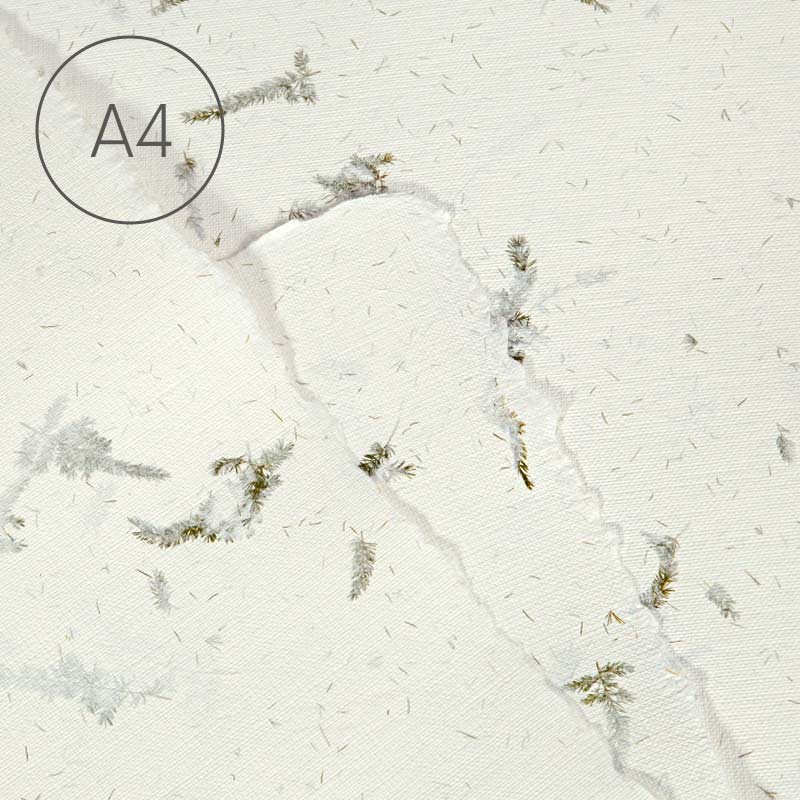 Papier czerpany faktura lnu A4 - Asparagus 02
