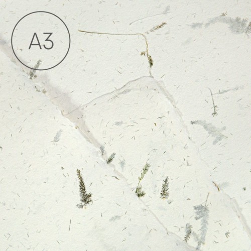 Papier czerpany gładki A3 - Asparagus