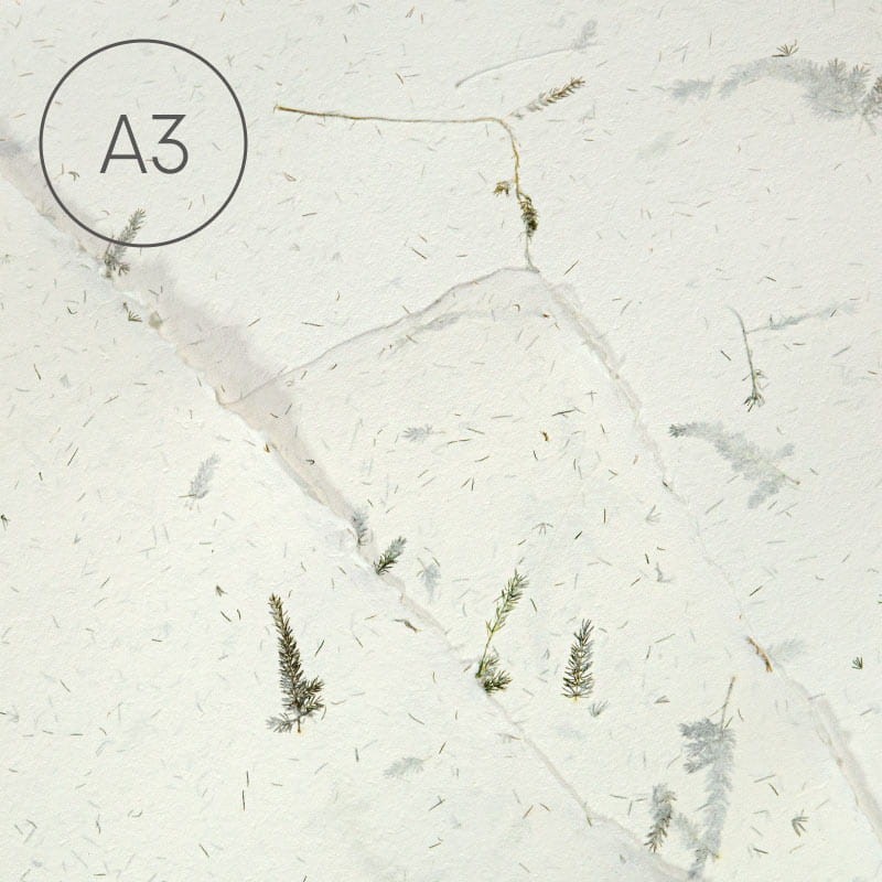 Papier czerpany gładki A3 - Asparagus 02